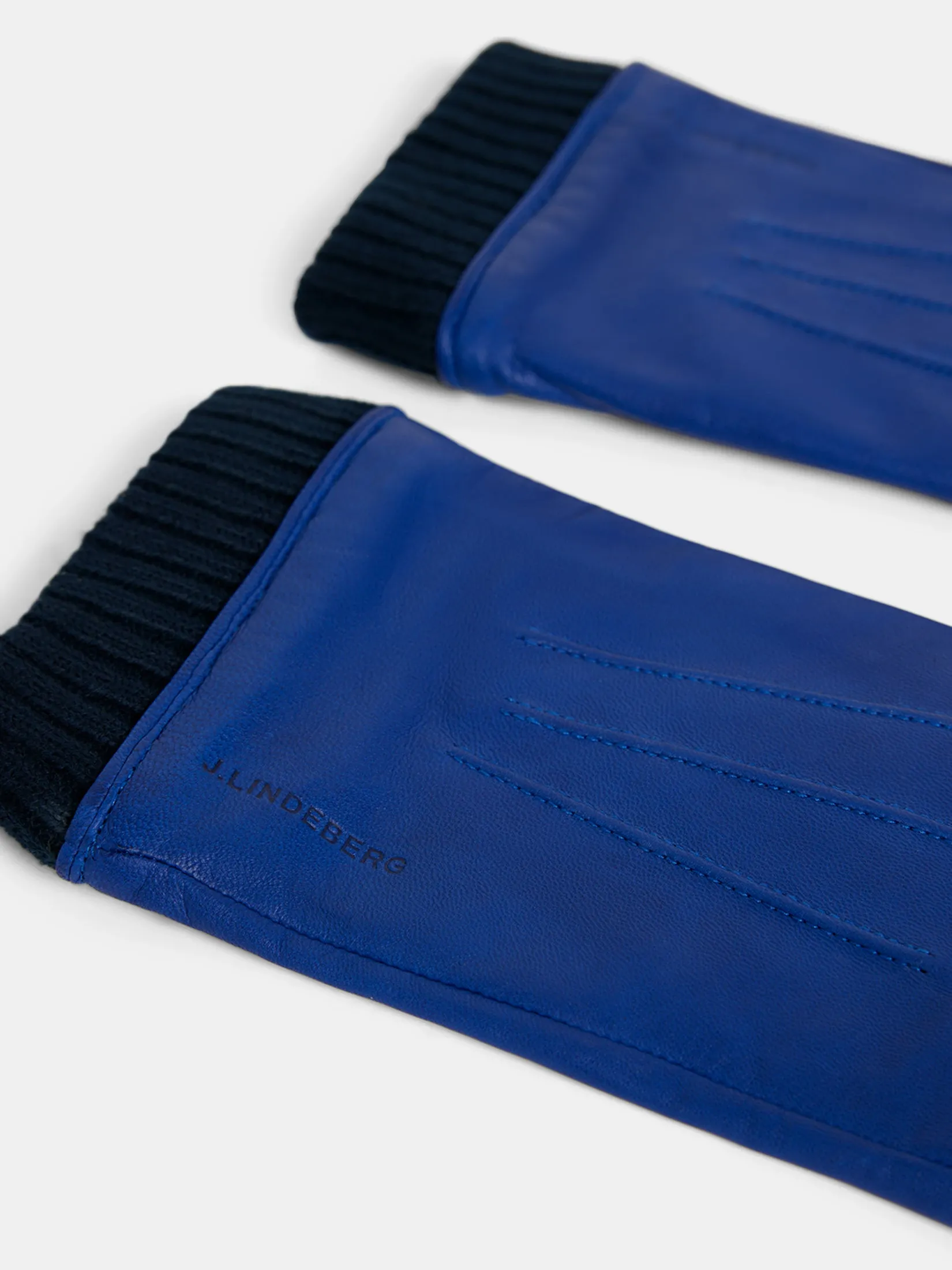 Myles Leather Glove / Surf the Web