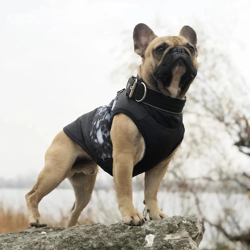 Winter Warm Dog Clothes for Small Dogs